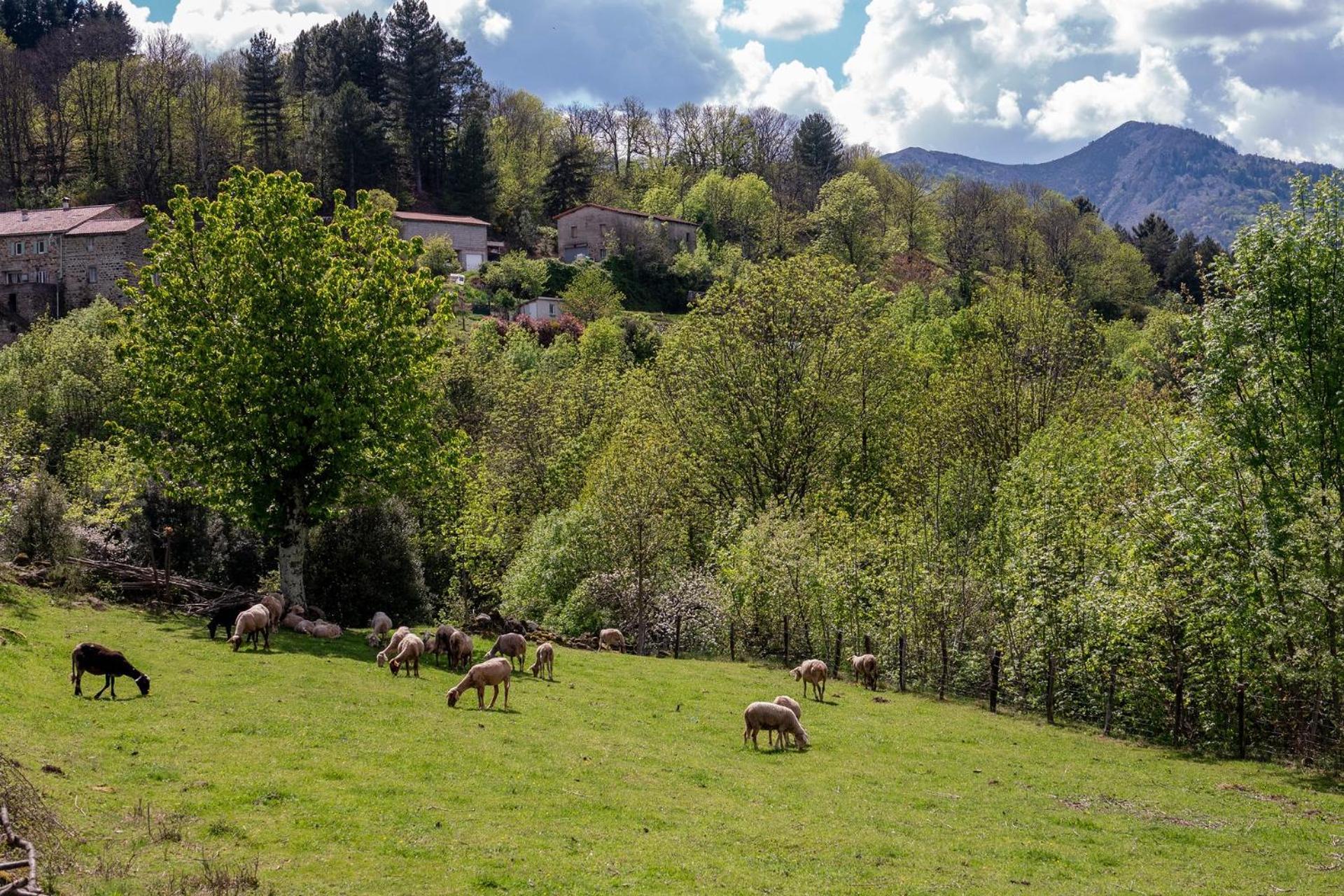 La Babounette Jaujac Buitenkant foto